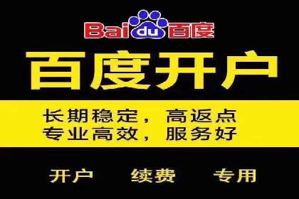 SEM代运营机构成功案例：优化策略与效果分析