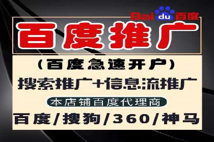百度竞价与搜索引擎优化（SEO）的协同效应案例